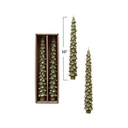 Cedar Tree Taper Candles